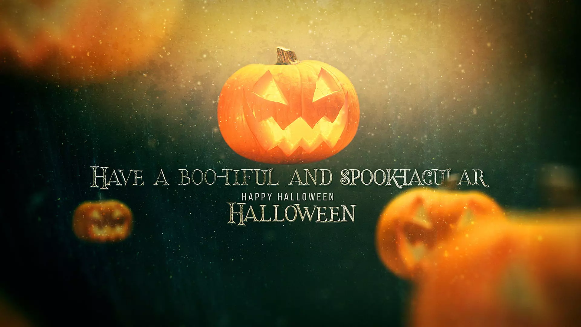 Congratulations Halloween: Discover Creative & Unique Videos